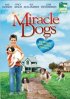 Постер «Miracle Dogs»