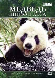 «Медведь: Шпион леса»
