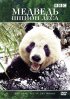Постер «Медведь: Шпион леса»