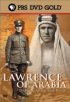 Постер «Lawrence of Arabia: The Battle for the Arab World»