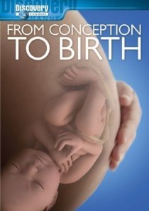 «From Conception to Birth»
