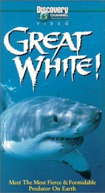 «Great White»