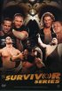 Постер «WWE: Оставшийся в живых»