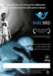 «Rare Bird»