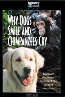 «Почему собаки улыбаются и шимпанзе плачут»