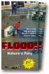 Постер «Наводнение!»