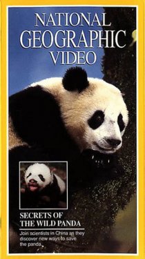 «Secrets of the Wild Panda»