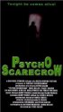 Постер «Пугало – психопат»