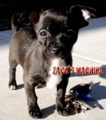 «Zack's Machine»