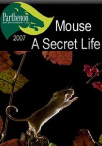 «Тайная жизнь мышей»