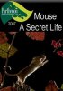 Постер «Тайная жизнь мышей»