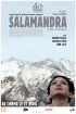 Постер «Саламандра»