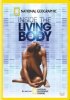 Постер «Inside the Living Body»