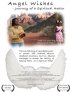 Постер «Angel Wishes: Journey of a Spiritual Healer»