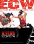 Постер «ECW Одна ночь противостояния»