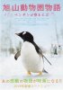 Постер «Зooпapк Acaхиямa: Пингвины в нeбe»
