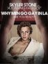 Постер «Почему мужчины становятся геями в Лос-Анджелесе»