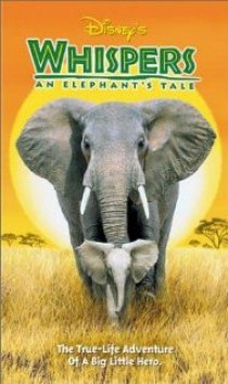 «Приключения слона»