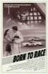 Постер «Born to Race»