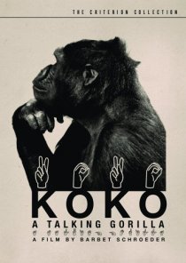 «Коко, говорящая горилла»