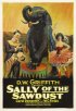 Постер «Салли из опилок»