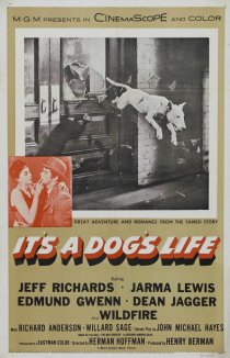 «It's a Dog's Life»