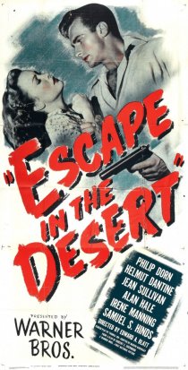 «Escape in the Desert»