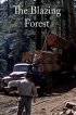 Постер «Пылающий лес»