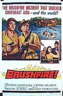 «Brushfire»