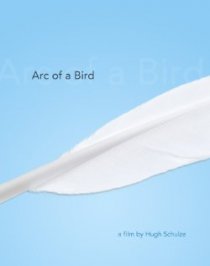 «Arc of a Bird»