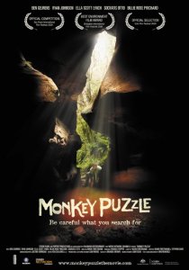 «Monkey Puzzle»