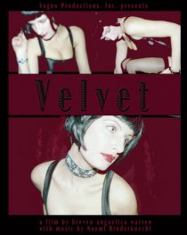 «Velvet»
