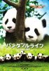 Постер «Дневник панды»