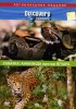 Постер «Discovery. Схватка: Анаконда против ягуара»