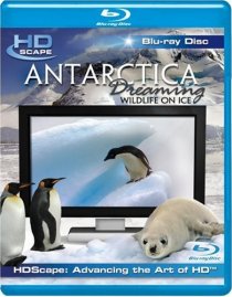 «Антарктика – Дикая жизнь на льду»