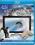 Постер «Антарктика – Дикая жизнь на льду»