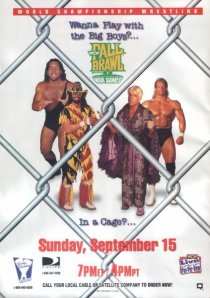 «WCW Жесткая драка 1996»