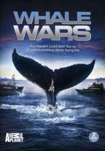 «Китовые войны»