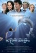 Постер «История дельфина»