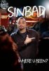 Постер «Sinbad: Where U Been?»