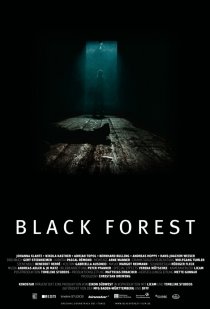 «Темный лес»