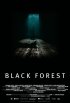 Постер «Темный лес»