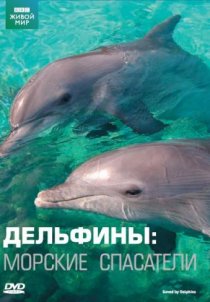 «Дельфины: Морские спасатели»
