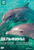 Постер «Дельфины: Морские спасатели»