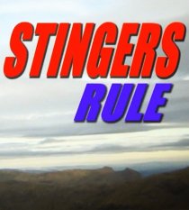 «Stingers Rule!»