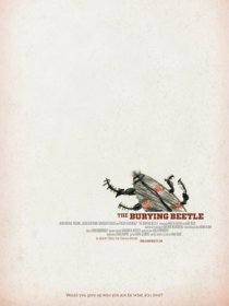 «The Burying Beetle»