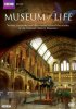 Постер «Museum of Life»
