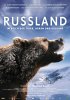 Постер «Россия — царство тигров, медведей и вулканов»
