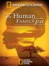 Постер «Родословная человечества»