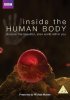 Постер «Внутри человеческого тела»